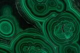 Flowery Polished Malachite Slab - DR Congo #350823-1